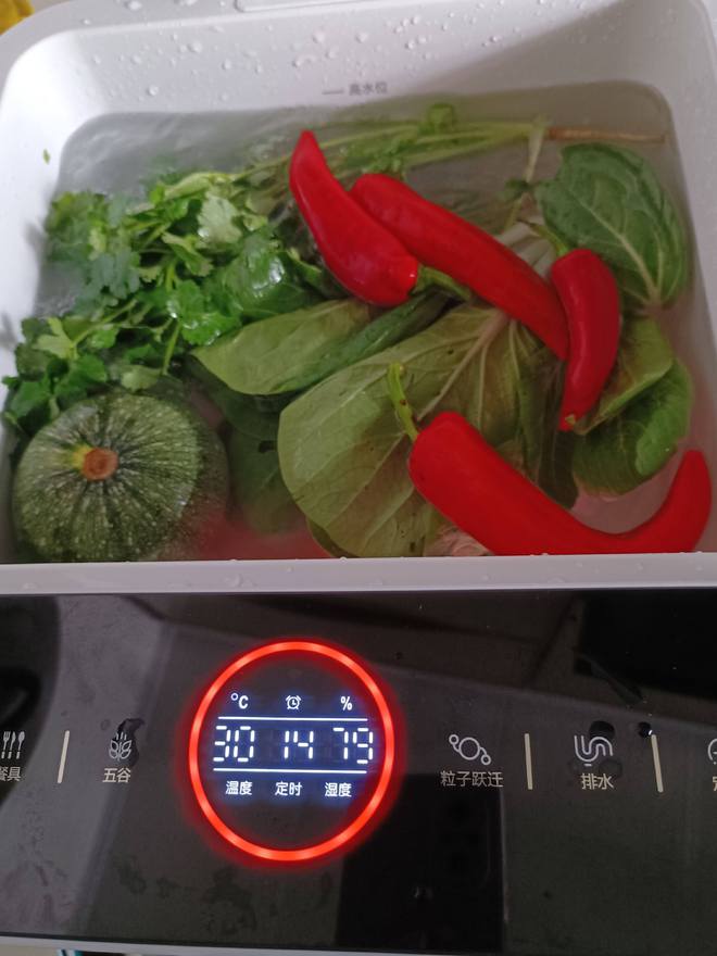 EMC体育 EMC易倍体育果蔬清洗机是骗局还是真有用？果蔬清洗机的作用大吗？(图2)