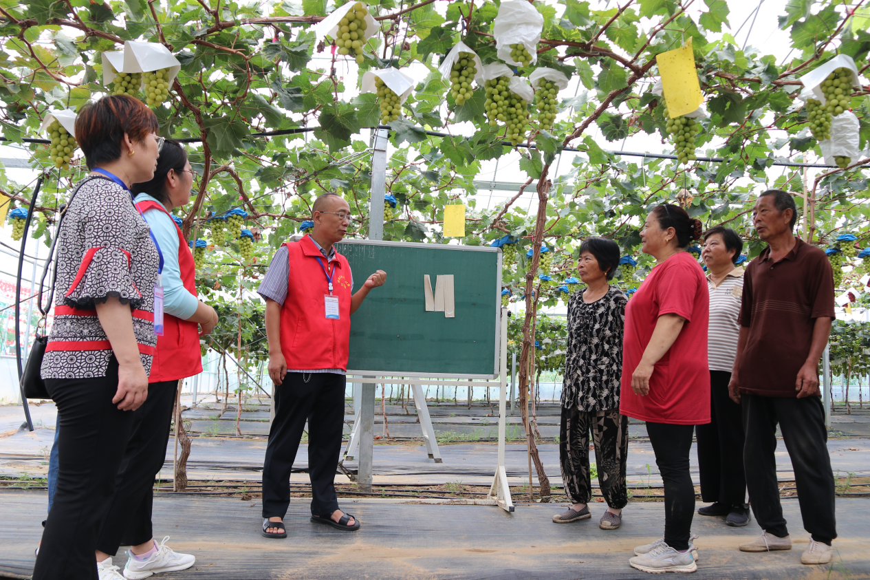 赣榆区人民政EMC易倍体育 易倍EMC府(图2)