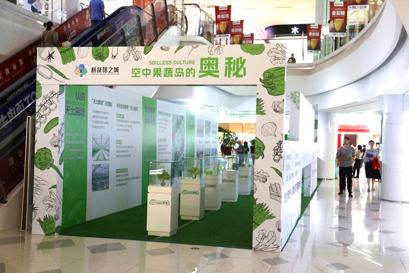 北京科技馆之城“空中果蔬岛的奥秘”沉浸式无土栽培科普新体验易倍体育 EMC易倍(图1)